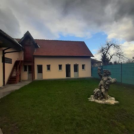 Vila Dionysos Brasov Ghimbav ภายนอก รูปภาพ