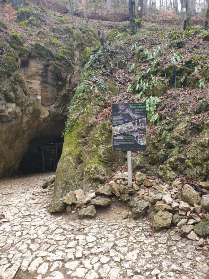 Vila Dionysos Brasov Ghimbav ภายนอก รูปภาพ