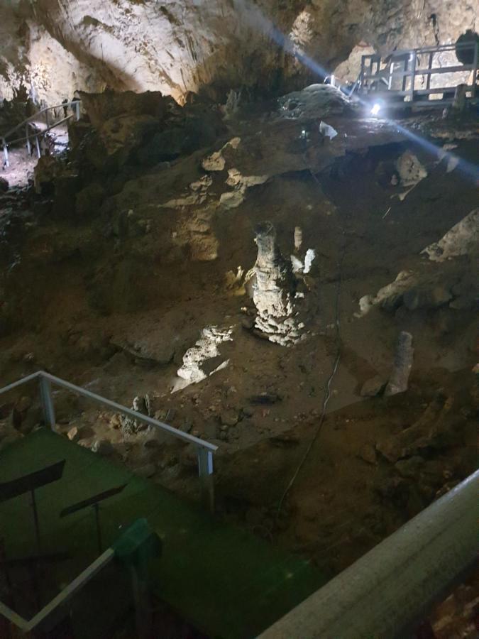 Vila Dionysos Brasov Ghimbav ภายนอก รูปภาพ