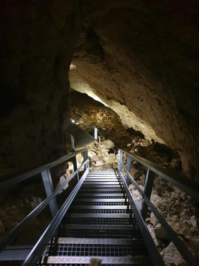 Vila Dionysos Brasov Ghimbav ภายนอก รูปภาพ