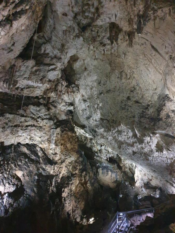 Vila Dionysos Brasov Ghimbav ภายนอก รูปภาพ