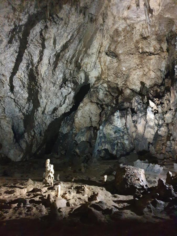 Vila Dionysos Brasov Ghimbav ภายนอก รูปภาพ